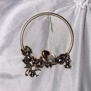 Pandora Harry Potter bracelet with different charms